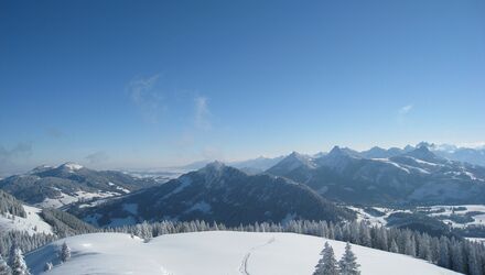 ABGESAGT: Wandern Tour 1 // Zum Wertacher Hörnle – eine naturkundliche Wanderung